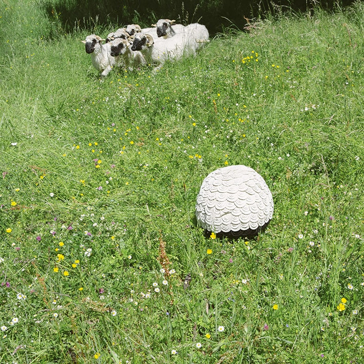 Sheep Stool - Blacknose