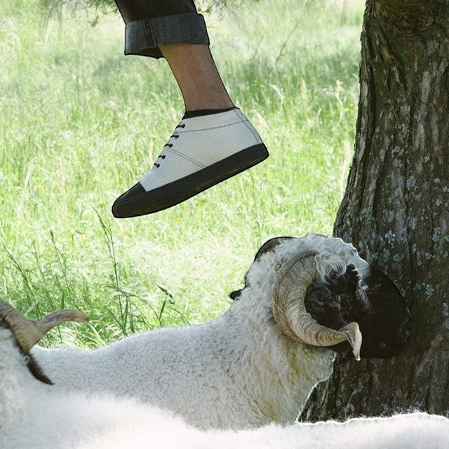 Baabuk Sky Wooler Blacknose SW sneaker in cream wool with black rubber sole worn near a Valais Blacknose sheep